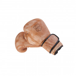 Guantoni da Boxe ARTZT Vintage Series Immagini del prodotto